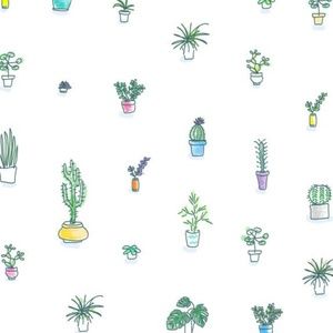 Meet your Posher, Jay